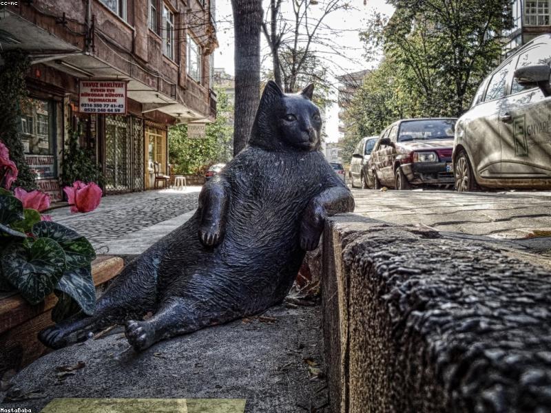 Residential Iron Gates Cleaning